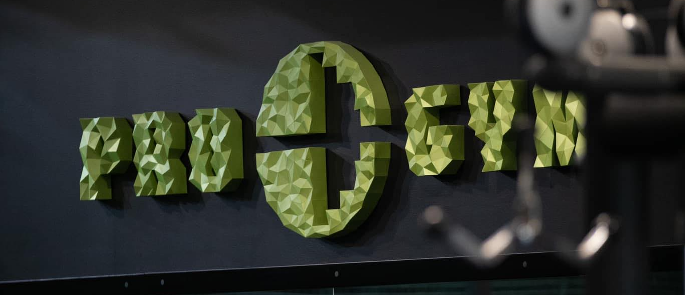 Pro-Gym interior